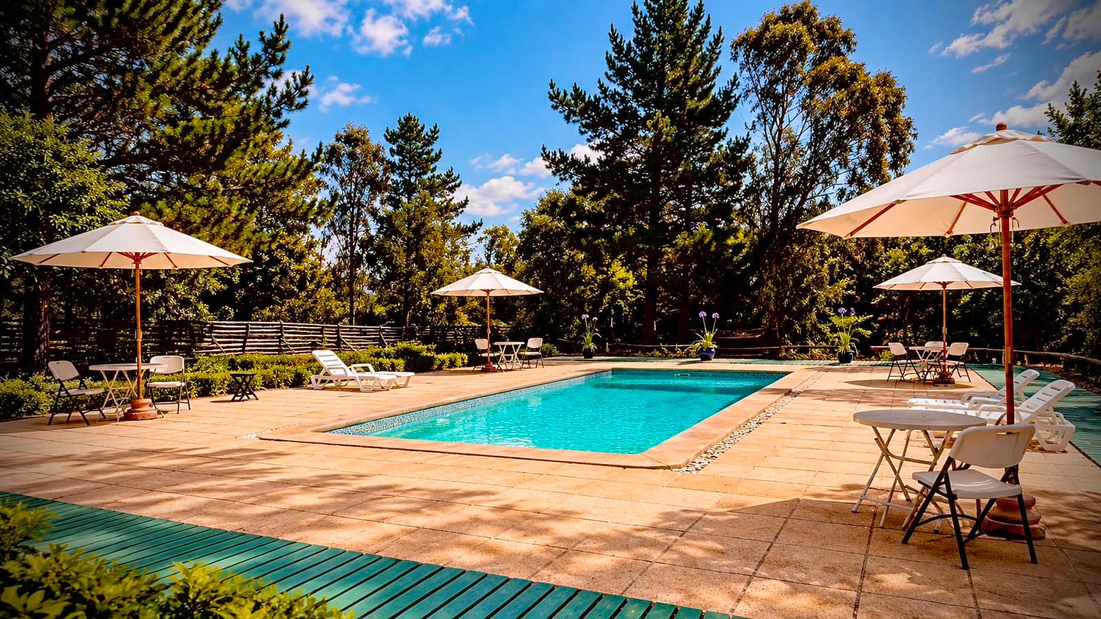 Piscina exterior de Bosques de San José rodeada de árboles