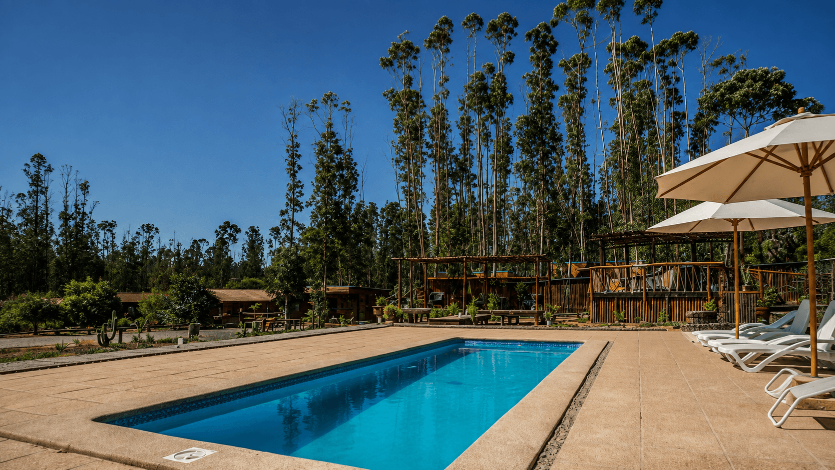 Piscina de Bosques de San José rodeada de eucaliptos