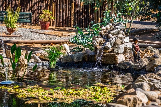 Laguna artificial entre la vegetación