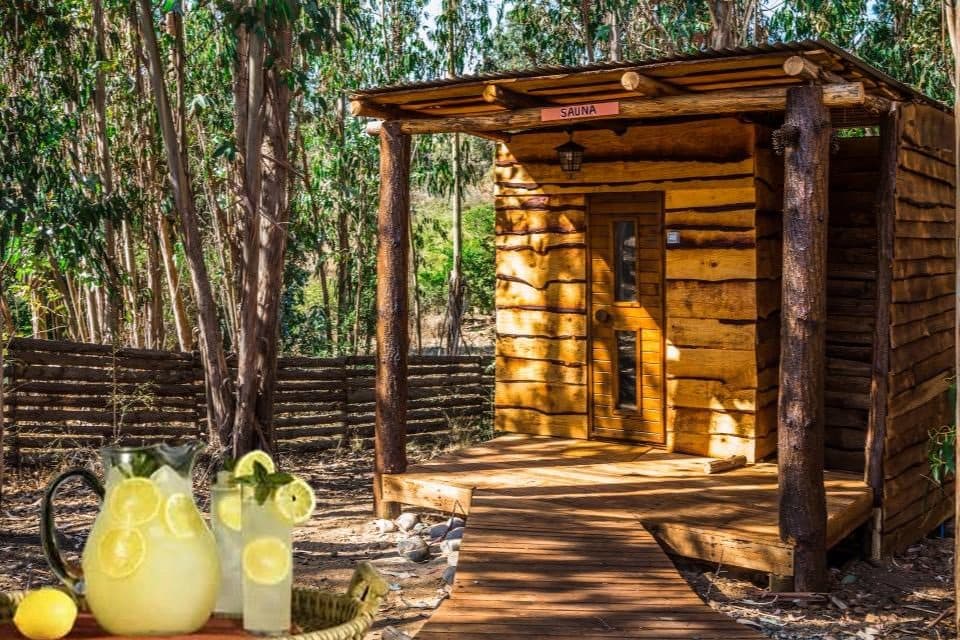 Sauna seco de madera